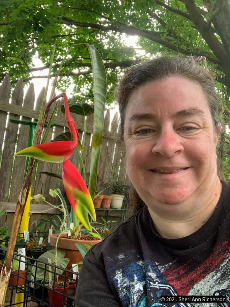 Vibrant red and green tropical plant with a person smiling outdoors in a garden setting.
