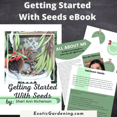 Seed starting guide, seed germination, homesteading seeds ebook for planting success, tips for growing healthy plants at home, organic gardening.