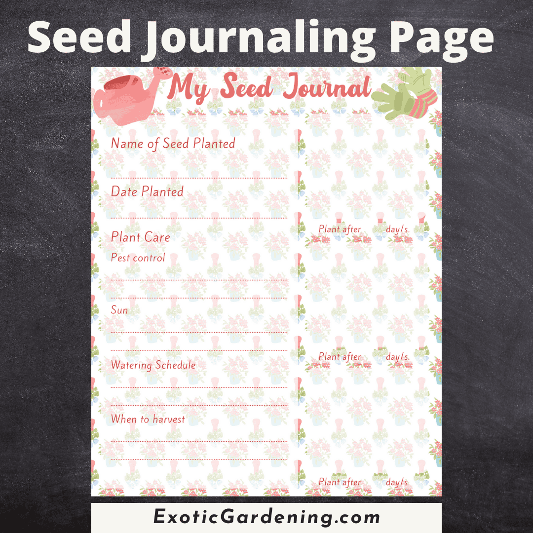 Seed journaling page for tracking planted seeds and care schedule.