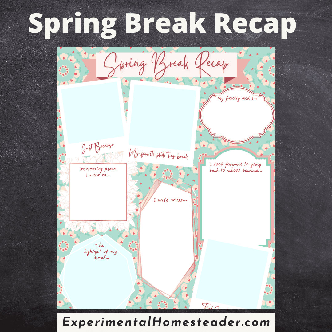Spring break recap printable sheet with floral design.