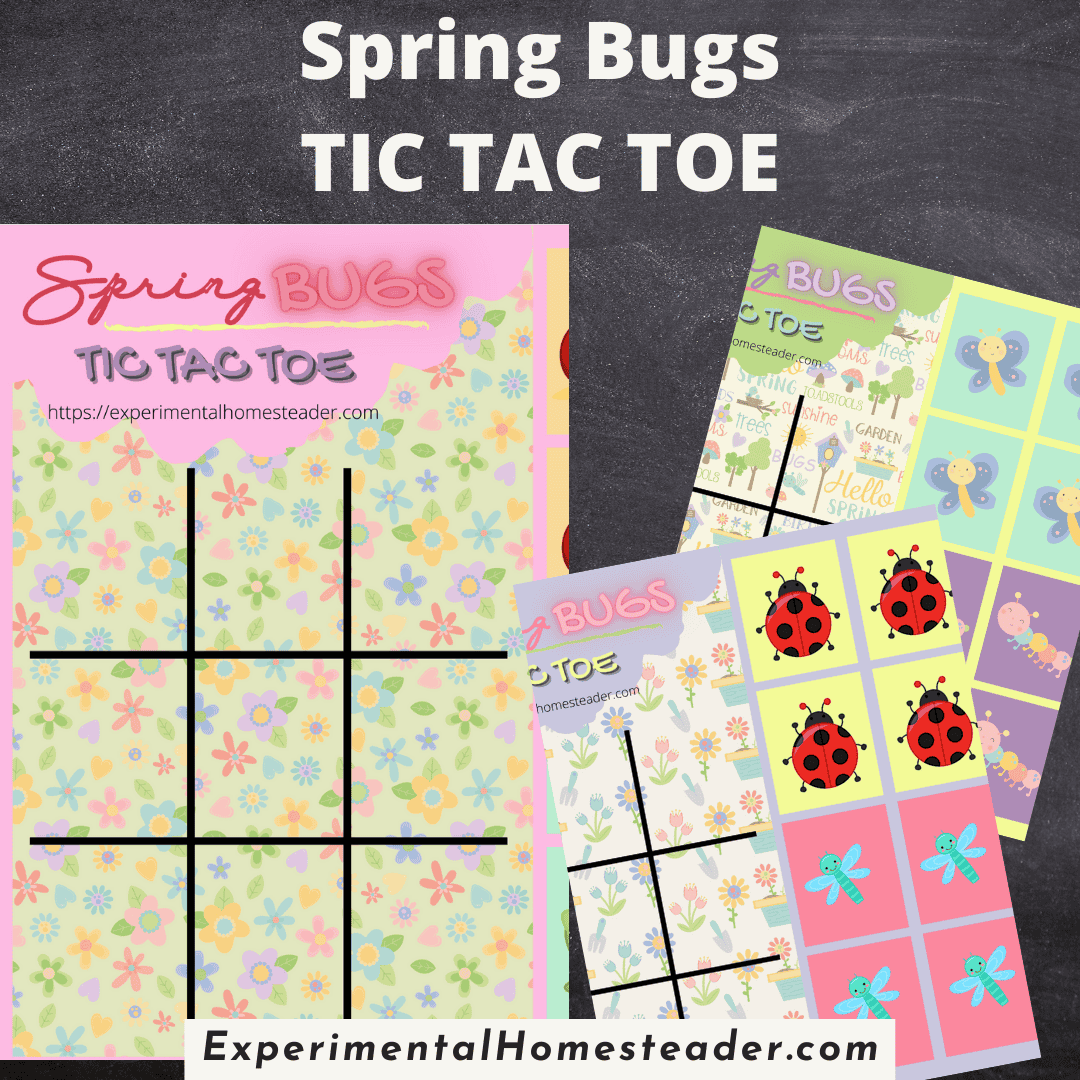 Tic Tac Toe Spring Bugs printable game for kids, featuring colorful floral and bug designs for spring fun.