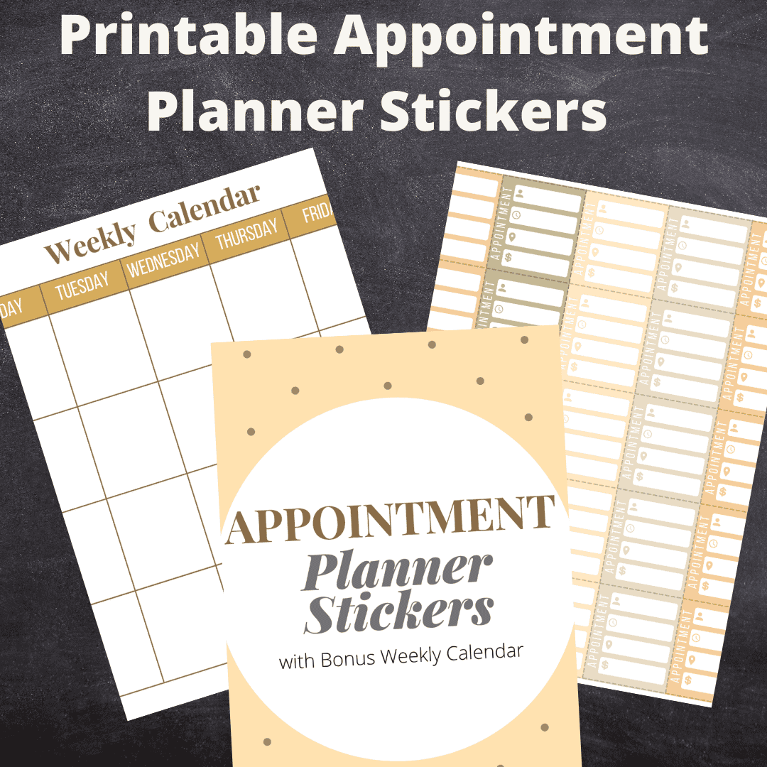 Removable appointment planner stickers for organizing schedules and appointments.
