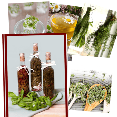 Various images of ways to preserve herbs such as herbs in vinegar, herbs hanging to dry, etc.