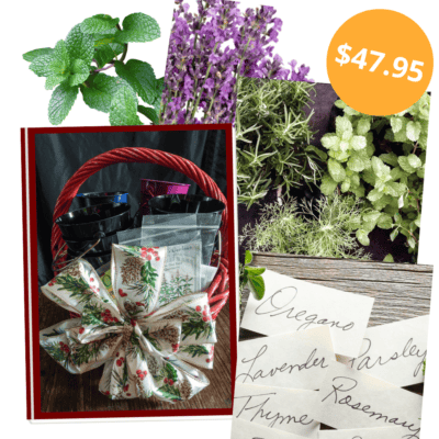 Herb seeds in a red basket with a bow as well as images of herbs and herb plant names written on pieces of paper.