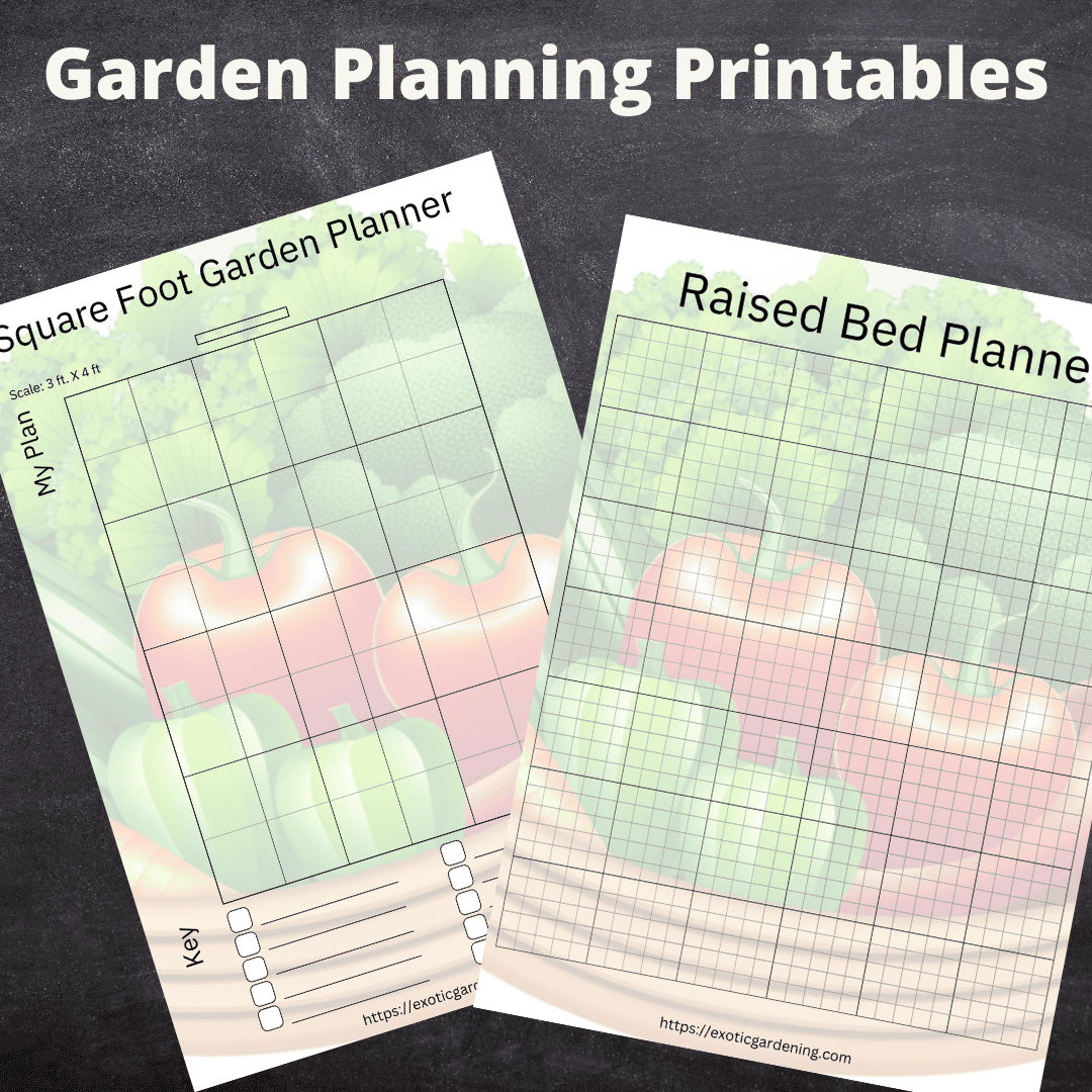 2. Printable garden planning sheets for vegetable beds and raised beds online.