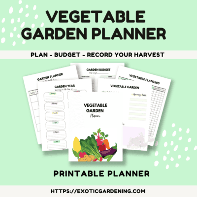 Vegetable garden planner printable PDF with colorful vegetable illustrations and planning sheets for homesteaders.