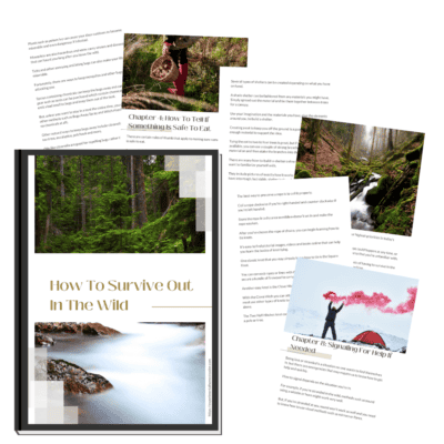 Images from the eBook How To Survive Out In The Wild