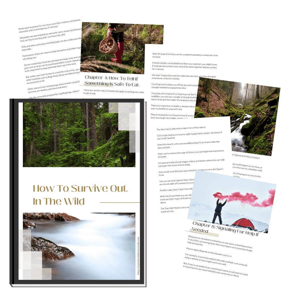 Images from the eBook How To Survive Out In The Wild