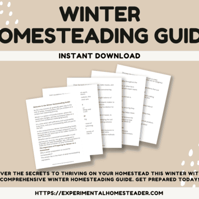 Winter homesteading guide instant download for thriving on your homestead during winter.