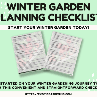 Winter garden planning checklist for successful cold-season harvest and winter garden care.