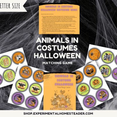 Matching game with Halloween animals in costumes, featuring colorful circular cards on a spooky web background.