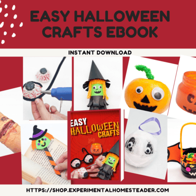 Eco-friendly Halloween craft ideas with googly eyes and felt materials.