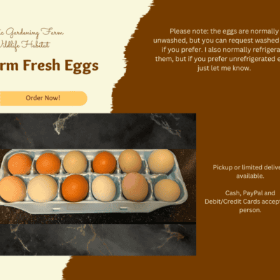 Farm fresh eggs, chicken eggs, organic eggs, farm produce.