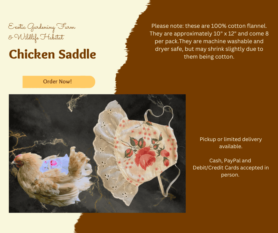 Keepsake chicken saddle with floral design and lace trim, unique embroidery, pet fashion accessory, farm animal apparel, Experimental Homesteader Shop.