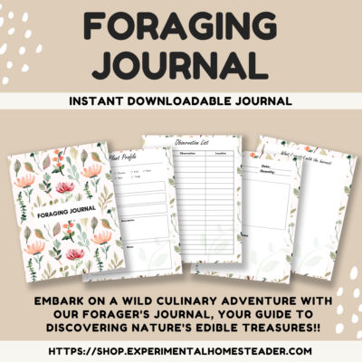 Foraging journal with floral design, printable nature discovery tracker, and observation sheets.