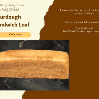 Sourdough sandwich loaf bread, fresh baked sourdough, experimental homesteader shop.
