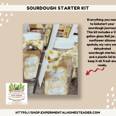 Sourdough starter kit with glass jar, spatula, and lid for homemade sourdough bread baking.