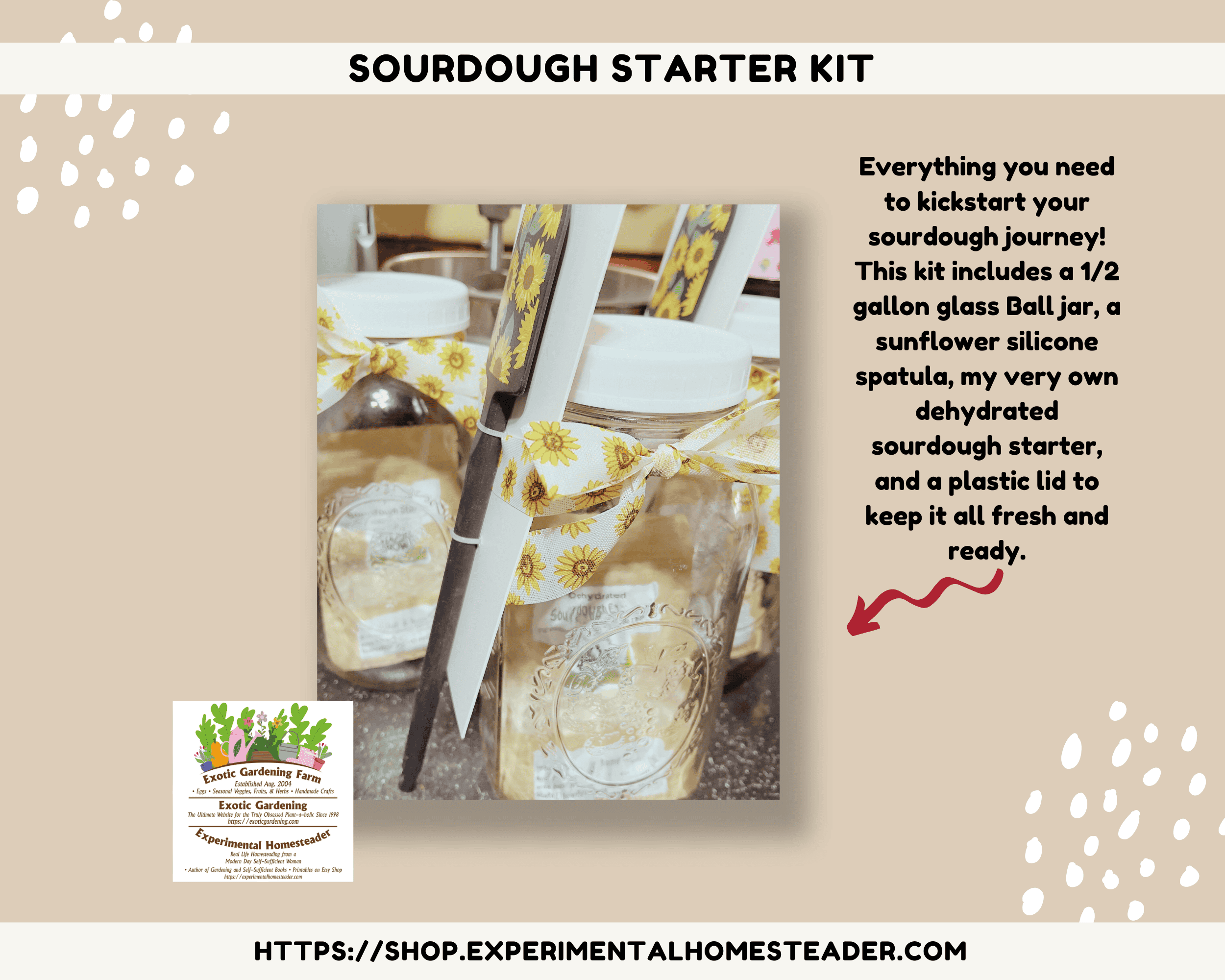 Sourdough starter kit with glass jar, spatula, and lid for homemade sourdough bread baking.