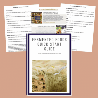 Fermented foods quick start guide, jar of sauerkraut with cabbage and spices, DIY fermentation tips included.