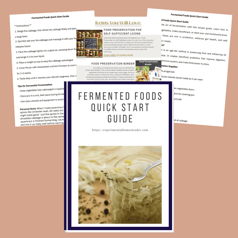 Fermented foods quick start guide, jar of sauerkraut with cabbage and spices, DIY fermentation tips included.