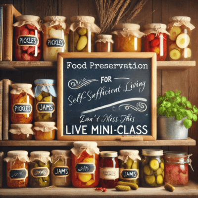 Pickles, jams, preserve jars, homemade food storage, self-sufficient living supplies.