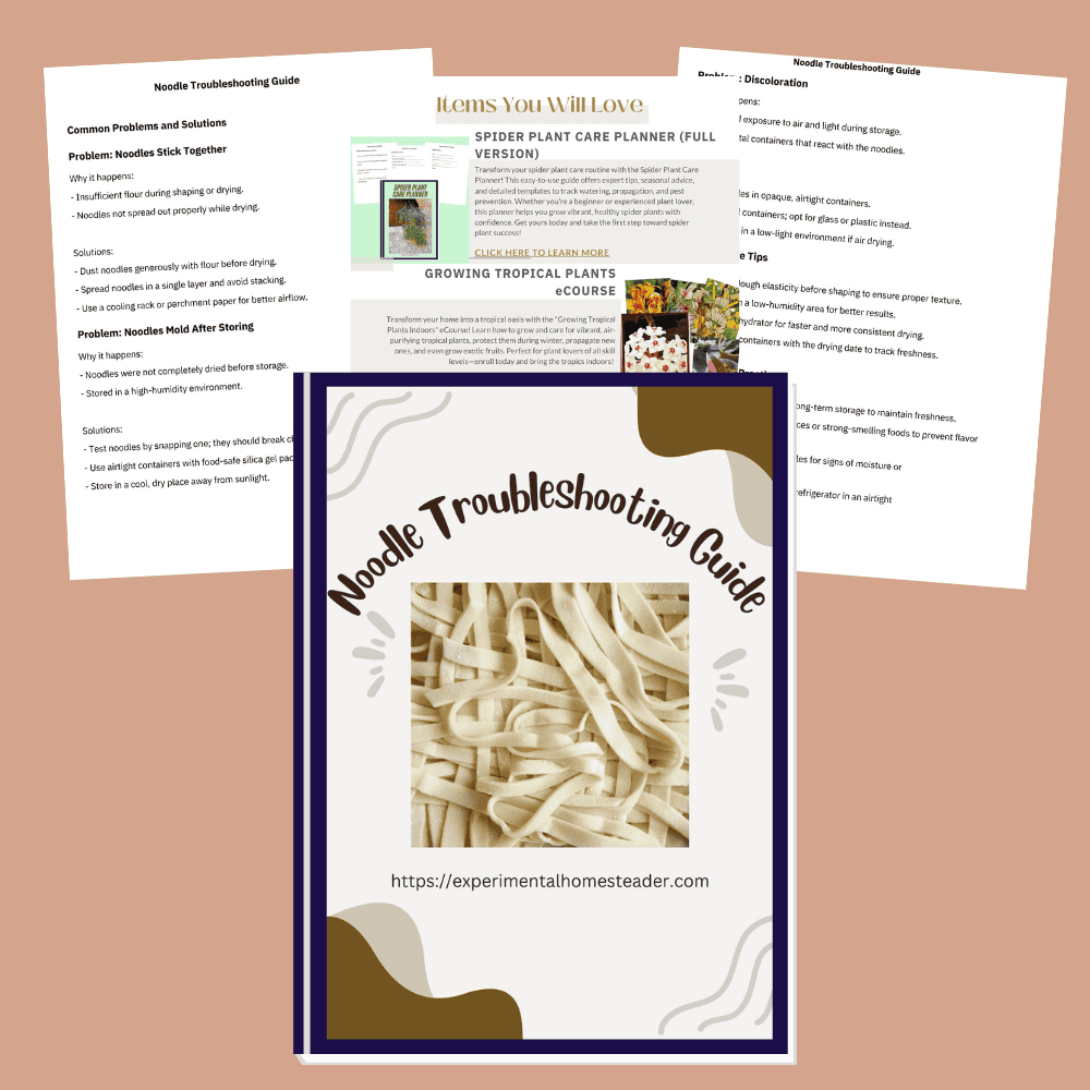 Noodle troubleshooting guide cover with image of cooked noodles, designed for experimental homesteader shop.