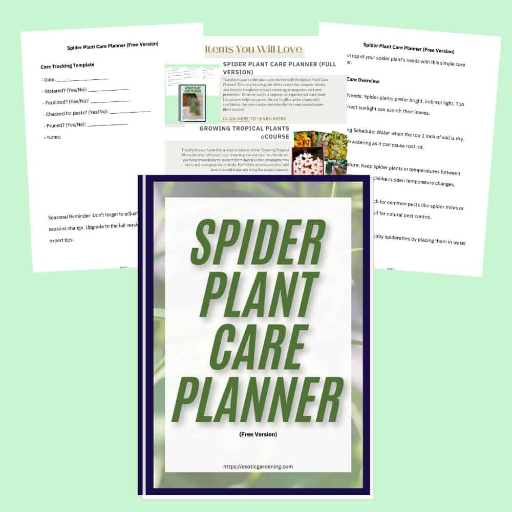 Spider plant care planner with tips for healthy growth and pest prevention.