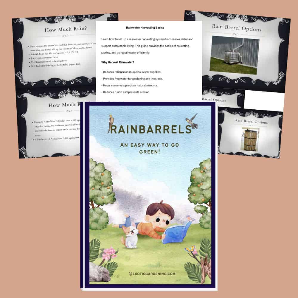 Colorful illustration of a child and a dog with apple trees on the cover of Rainbarrels guidebook.