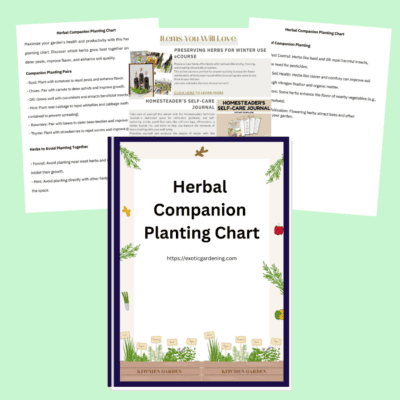 Herbal companion planting chart for sustainable gardening and pest control, ideal for kitchen gardens.