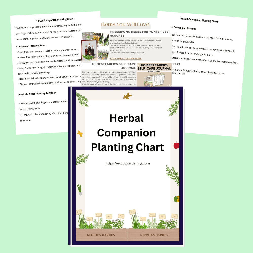 Herbal companion planting chart for sustainable gardening and pest control, ideal for kitchen gardens.