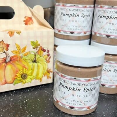 Exotic Gardening Farm Pumpkin Spice hot chocolate mix in 6-ounce jars beside an autumn-themed gift box